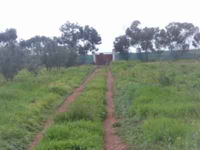 https://www.immotaroudant.com/bien/vente-ferme-a-taroudant-f13714/