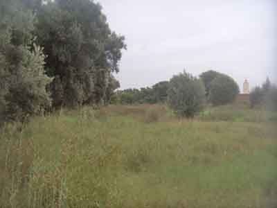 https://www.immotaroudant.com/bien/vente-ferme-taroudant-f13849/