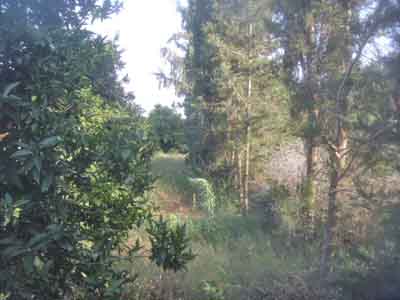 https://www.immotaroudant.com/bien/vente-ferme-taroudant-f13855/