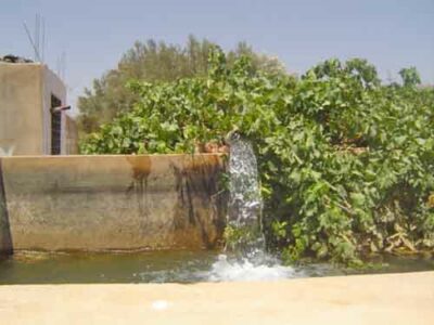 https://www.immotaroudant.com/bien/ferme-taroudant-f14034/
