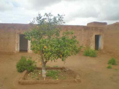 https://www.immotaroudant.com/bien/riad-taroudant-a-vendre-r13186/