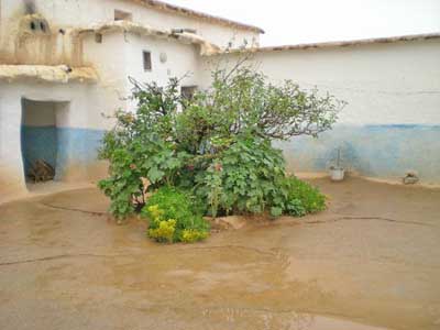 https://www.immotaroudant.com/bien/vente-maison-a-taroudant-m12311/