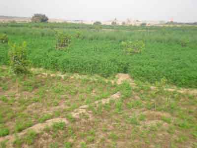 https://www.immotaroudant.com/bien/vente-terrain-a-taroudant-t13064/
