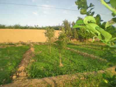 https://www.immotaroudant.com/bien/vente-maison-taroudant-m13143/