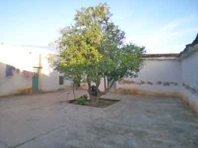 https://www.immotaroudant.com/bien/vente-maison-taroudant-m13167/