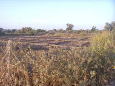 https://www.immotaroudant.com/bien/terrain-a-vendre-a-taroudant-maroc-t13419/