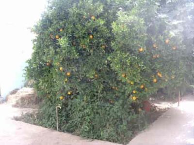 https://www.immotaroudant.com/bien/maison-a-taroudant-m13442/