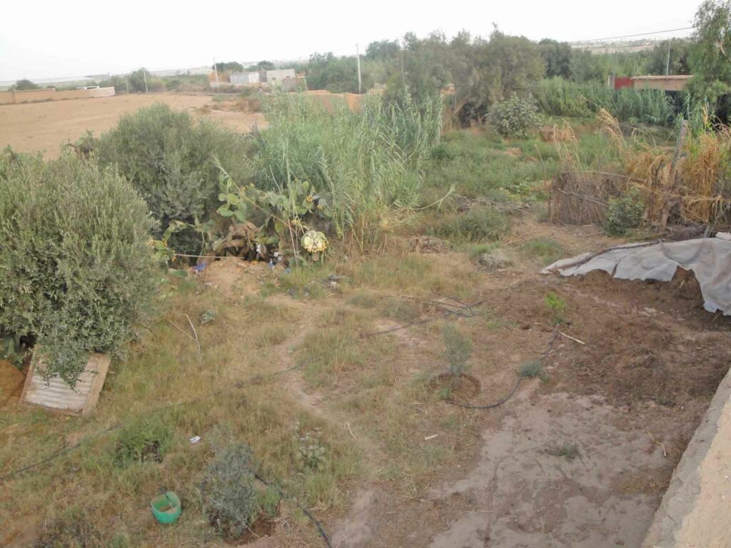 Maison Taroudant — Réf. M13526 — photo 2
