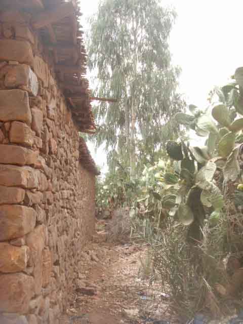 Maison  taroudant à vendre