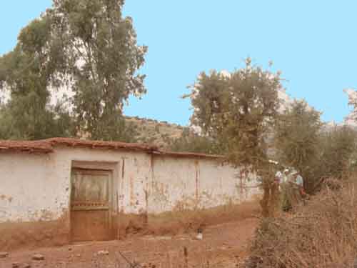 Maison  taroudant à vendre