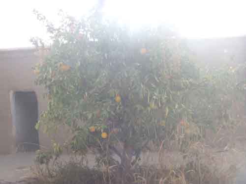 Maison Taroudant