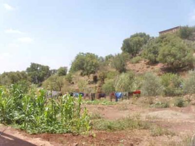 https://www.immotaroudant.com/bien/maison-taroudant-m13539/