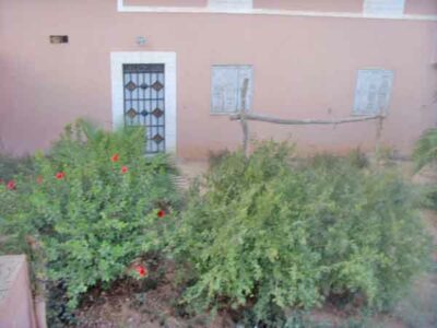 https://www.immotaroudant.com/bien/vente-villa-taroudant-v13568/