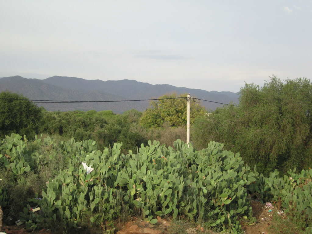 Vente Maison Taroudant — Réf. M13648 — photo 4
