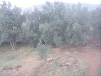 https://www.immotaroudant.com/bien/vente-maison-taroudant-m13648/