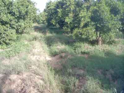 https://www.immotaroudant.com/bien/terrain-a-taroudant-t13658/