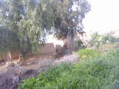 https://www.immotaroudant.com/bien/maison-a-vendre-a-taroudant-maroc-m13706/