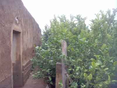 https://www.immotaroudant.com/bien/maison-a-vendre-a-taroudant-maroc-m13734/