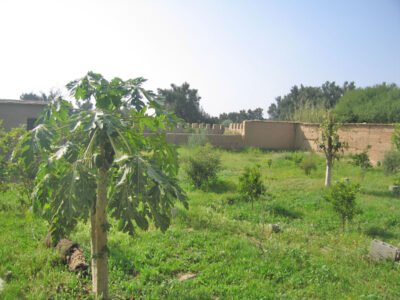 https://www.immotaroudant.com/bien/maison-a-vendre-a-taroudant-maroc-m13741/