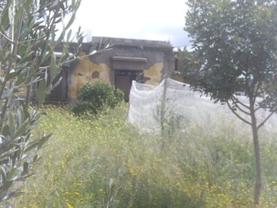 https://www.immotaroudant.com/bien/maison-a-vendre-a-taroudant-maroc-m13743/