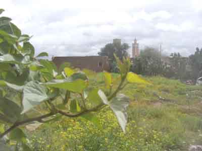 https://www.immotaroudant.com/bien/maison-a-vendre-a-taroudant-maroc-m13744/
