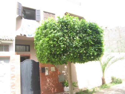 https://www.immotaroudant.com/bien/maison-a-vendre-a-taroudant-maroc-m13747/