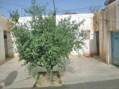 https://www.immotaroudant.com/bien/vente-maison-taroudant-m13750/