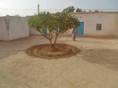 https://www.immotaroudant.com/bien/riad-taroudant-r13033/