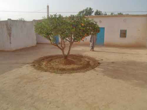 Riad taroudant