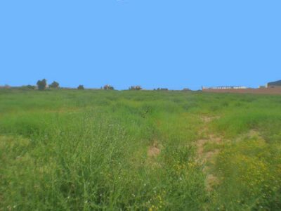 https://www.immotaroudant.com/bien/vente-terrain-taroudant-t13361/