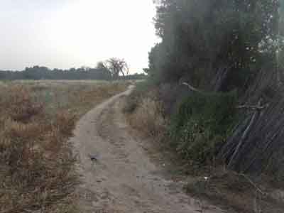 https://www.immotaroudant.com/bien/terrain-a-vendre-a-taroudant-maroc-t13376/