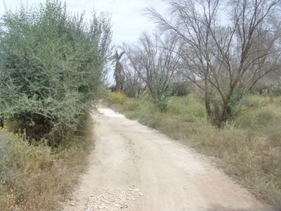 https://www.immotaroudant.com/bien/terrain-a-vendre-a-taroudant-maroc-t13377/