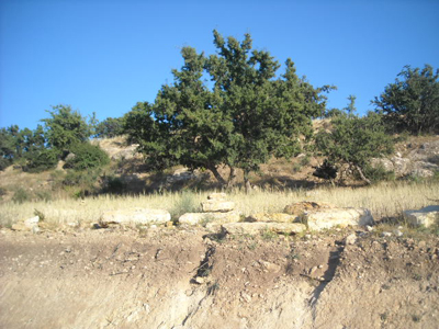 https://www.immotaroudant.com/bien/terrain-a-vendre-a-agadir-maroc-t13381/