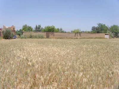 https://www.immotaroudant.com/bien/terrain-a-vendre-a-taroudant-maroc-t13390/