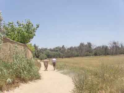 https://www.immotaroudant.com/bien/terrain-a-vendre-a-taroudant-maroc-t13391/