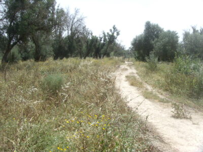 https://www.immotaroudant.com/bien/vente-terrain-taroudant-t13410/