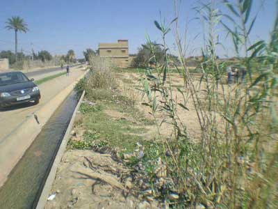 https://www.immotaroudant.com/bien/terrain-a-vendre-a-taroudant-maroc-t13415/