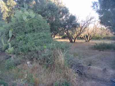 https://www.immotaroudant.com/bien/terrain-a-vendre-a-taroudant-maroc-t13418/