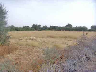 https://www.immotaroudant.com/bien/vente-terrain-taroudant-t13434/