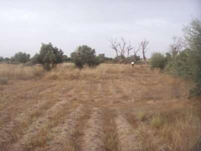 https://www.immotaroudant.com/bien/terrain-a-vendre-a-taroudant-maroc-t13435/