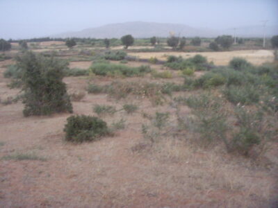 https://www.immotaroudant.com/bien/terrain-a-vendre-a-taroudant-maroc-t13437/