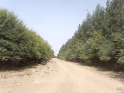 https://www.immotaroudant.com/bien/terrain-a-taroudant-t13443/