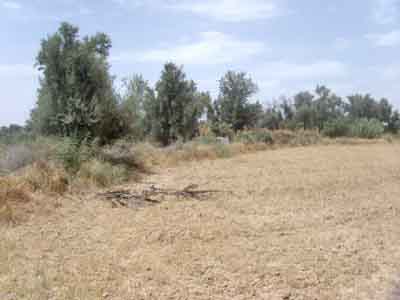 https://www.immotaroudant.com/bien/terrain-a-vendre-t13449/