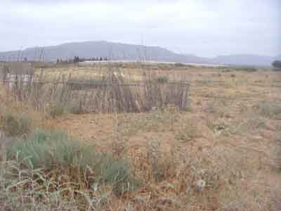 https://www.immotaroudant.com/bien/terrain-agricole-a-taroudant-t13468/