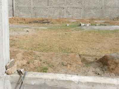 https://www.immotaroudant.com/bien/terrain-a-taroudant-t13487/