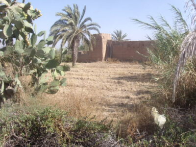 https://www.immotaroudant.com/bien/terrain-a-taroudant-t13500/