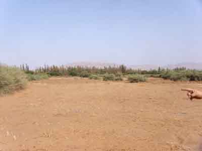 https://www.immotaroudant.com/bien/terrain-agricole-ataroudant-t13515/