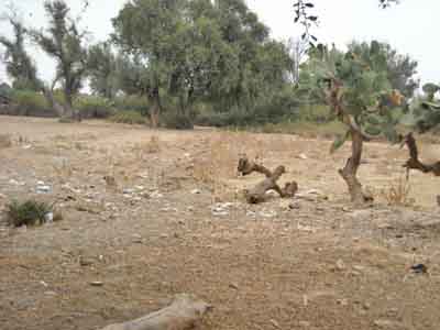 https://www.immotaroudant.com/bien/terrain-a-taroudant-t13518/