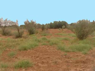 https://www.immotaroudant.com/bien/terrain-a-taroudant-t13533/