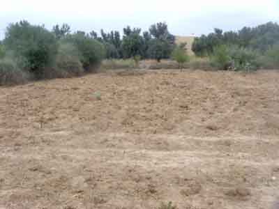 https://www.immotaroudant.com/bien/terrain-a-taroudant-t13559/